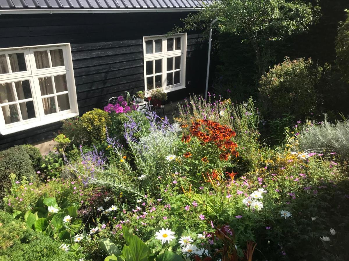 T Huuske Tuinappartement Met Fantastisch Uitzicht, Nabij Zee Zonnemaire ภายนอก รูปภาพ