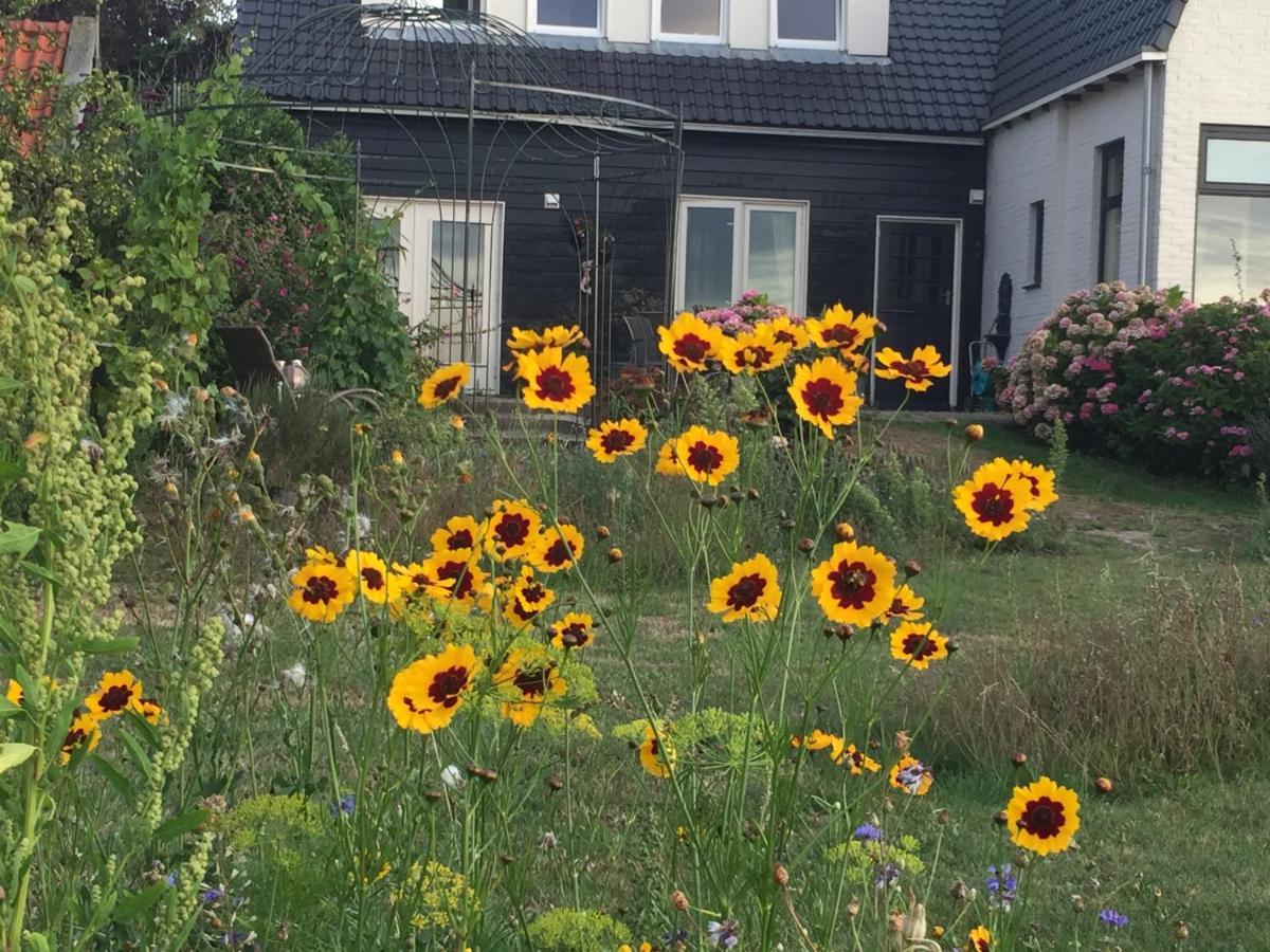 T Huuske Tuinappartement Met Fantastisch Uitzicht, Nabij Zee Zonnemaire ภายนอก รูปภาพ